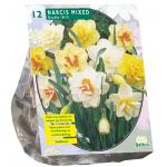 Baltus Narcis Dubbel Mix bloembollen per 12 stuks